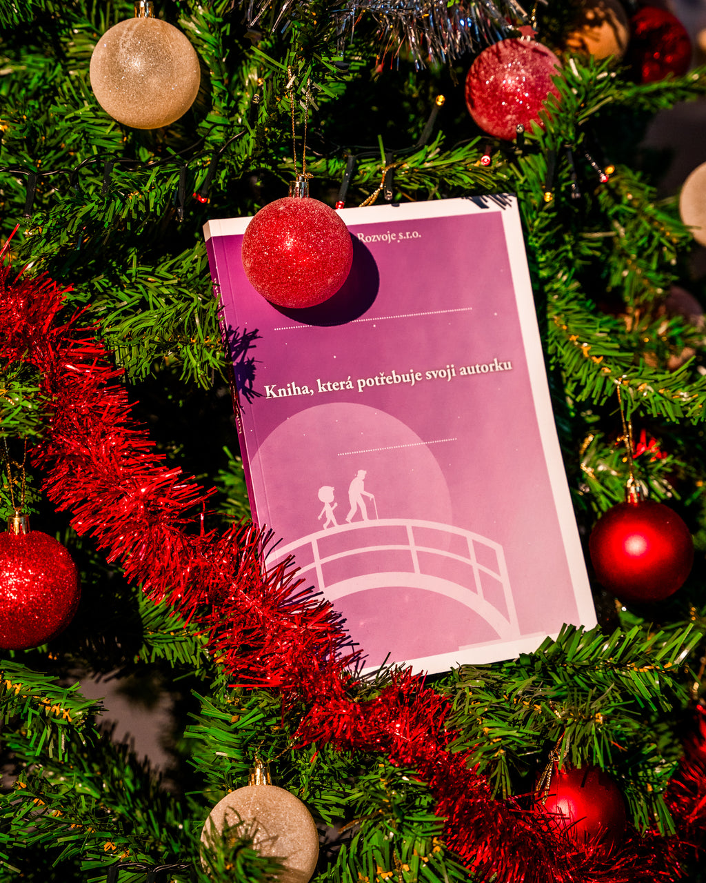Kniha, která potřebuje svoji autorku
