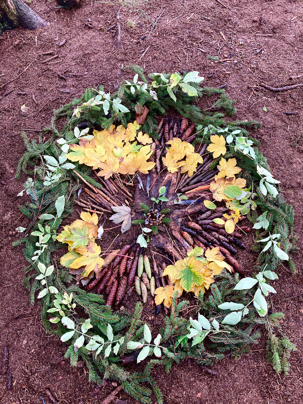 Mandala v přírodě