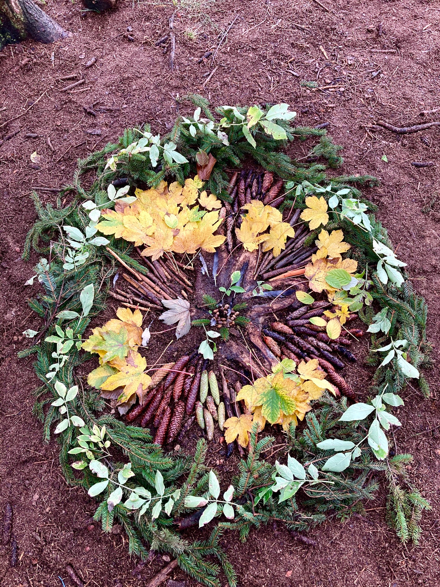 Mandala v přírodě